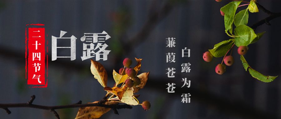 1757298960663244.jpg 包图_86eb1f9bcd311bcc0c160d7fa25e5a14_73419.jpg